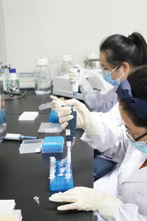 ELISA檢測技術服務介紹